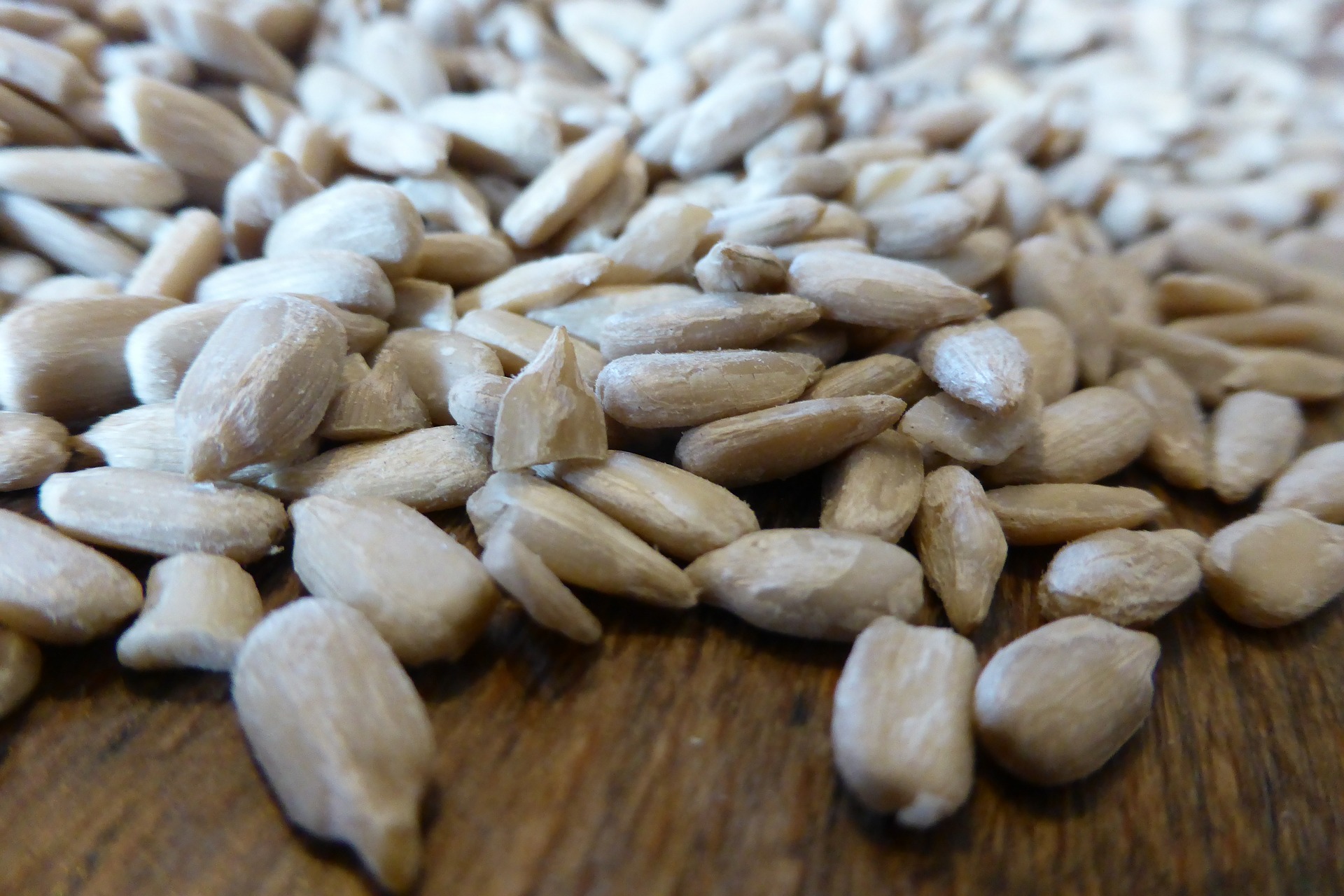 carbs in sunflower seeds