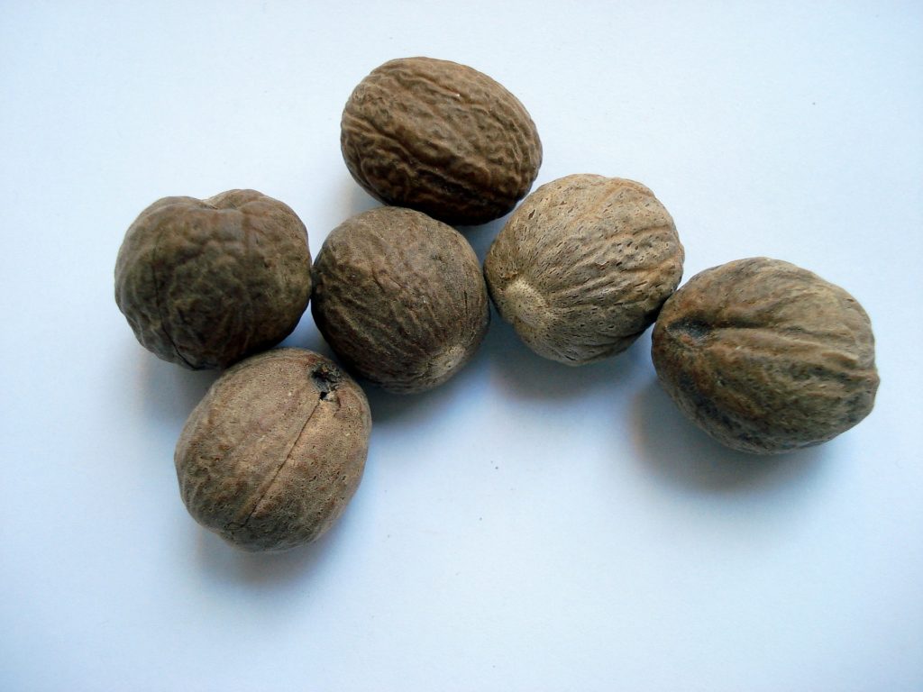 what is nutmeg